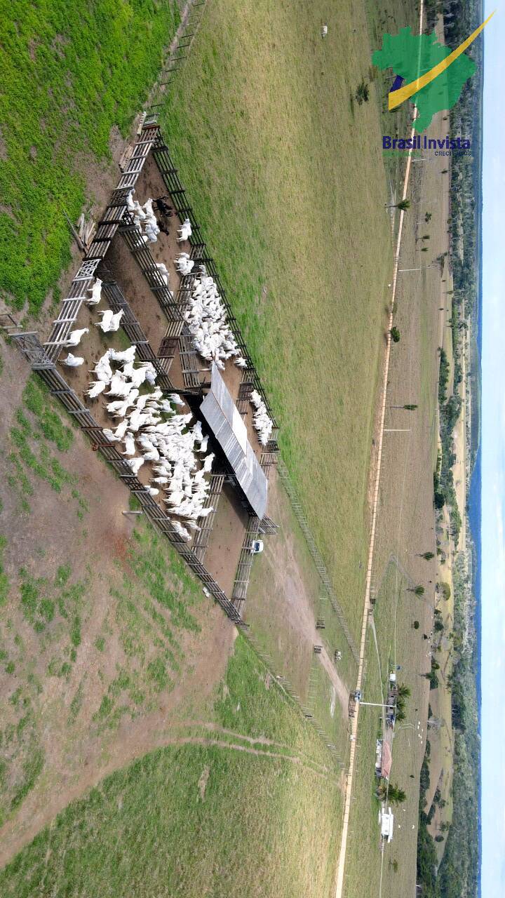 Terreno, 1268 hectares - Foto 29