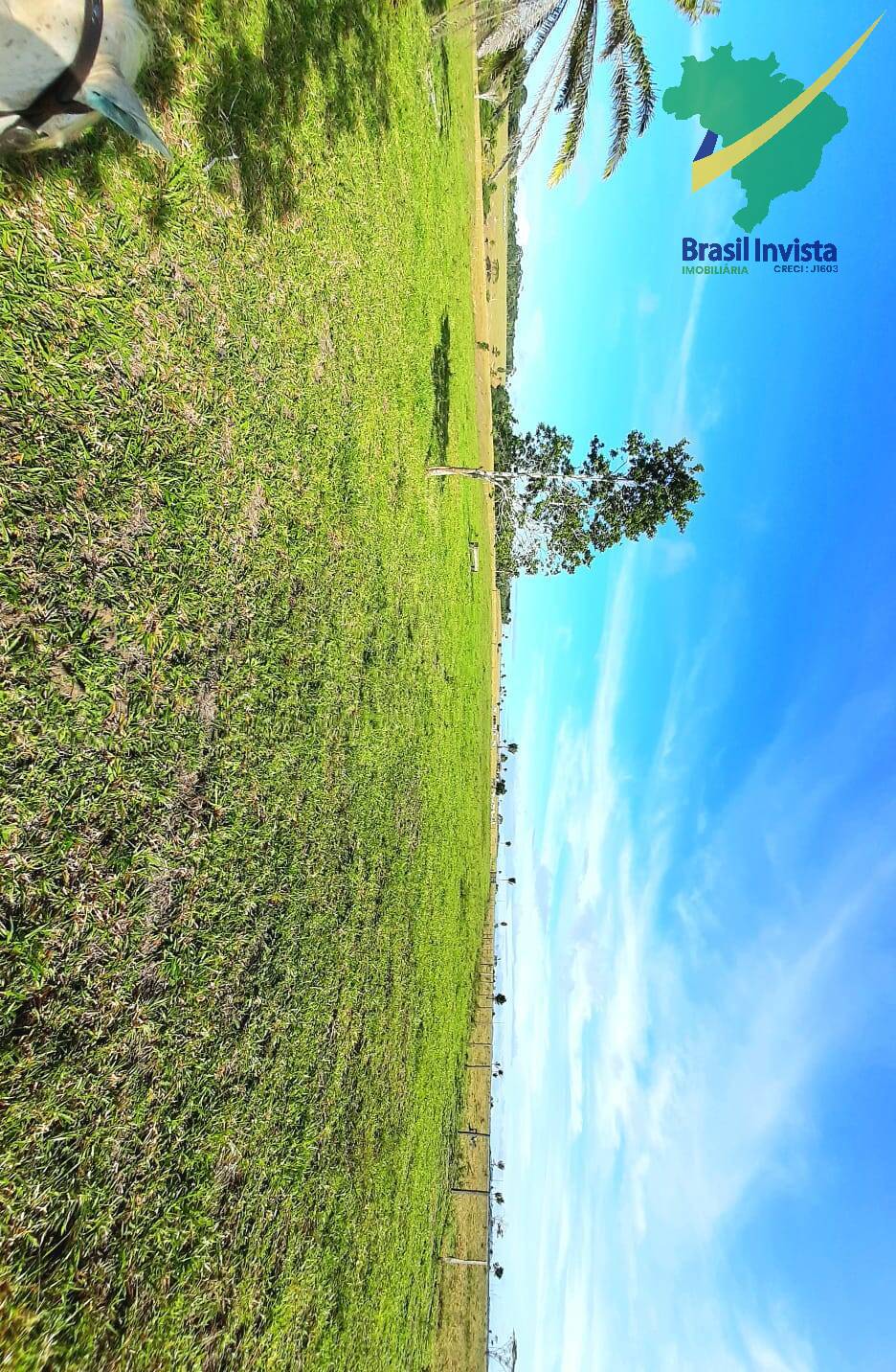 Terreno, 1268 hectares - Foto 30