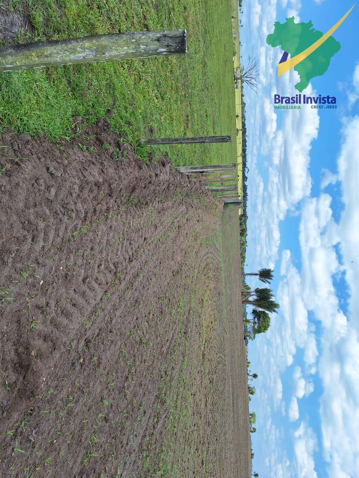 Terreno, 1268 hectares - Foto 34