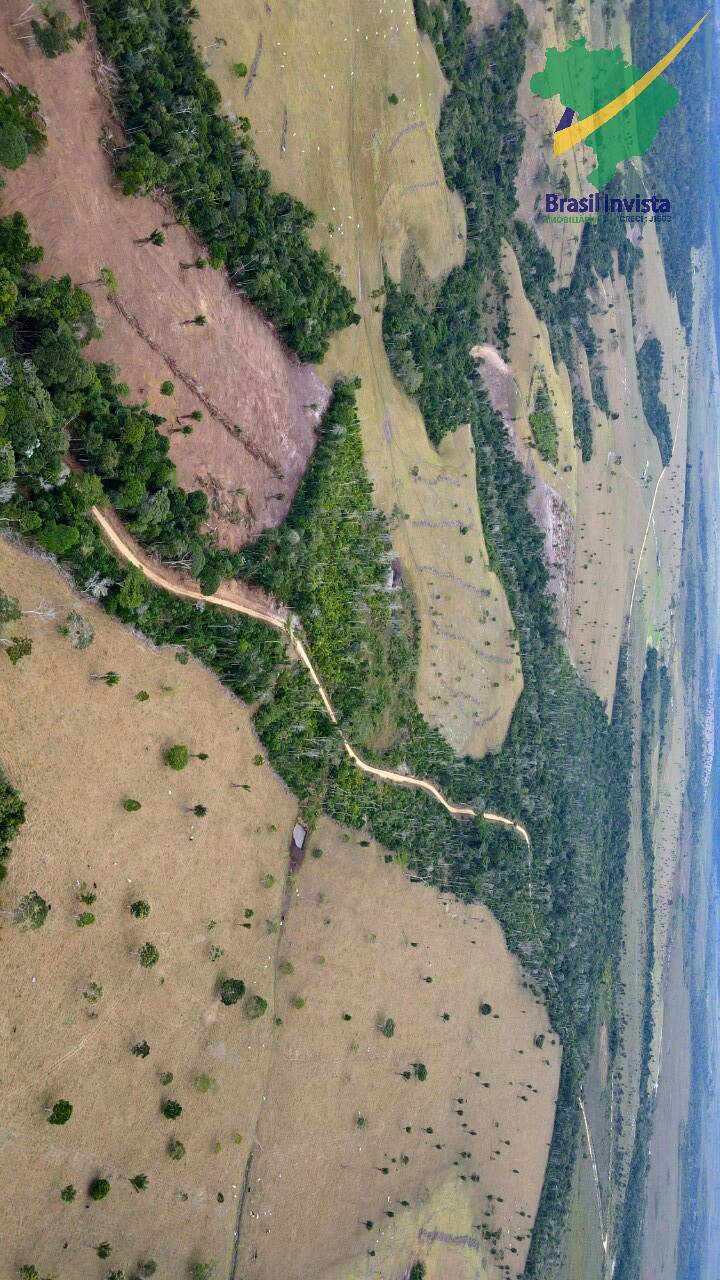 Terreno, 1268 hectares - Foto 38