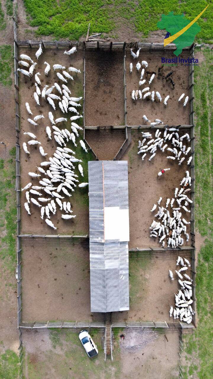 Terreno, 1268 hectares - Foto 45