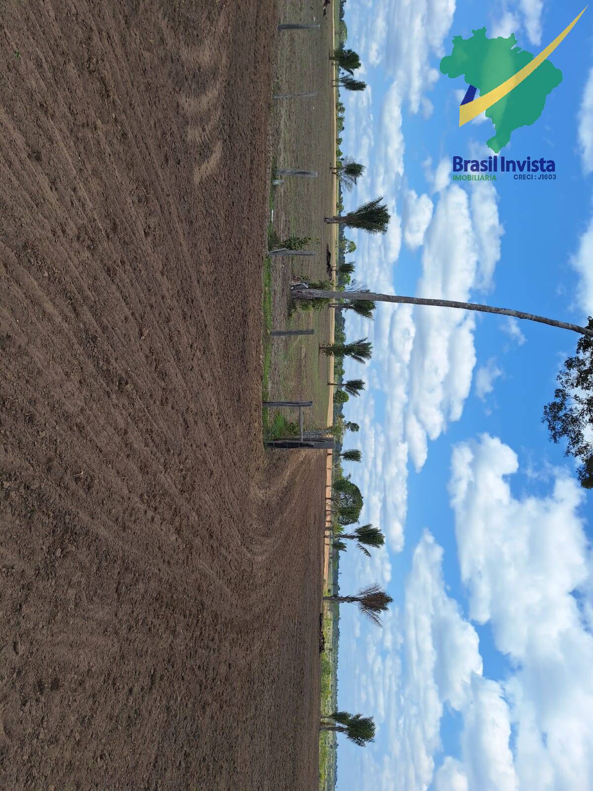 Terreno, 1268 hectares - Foto 44