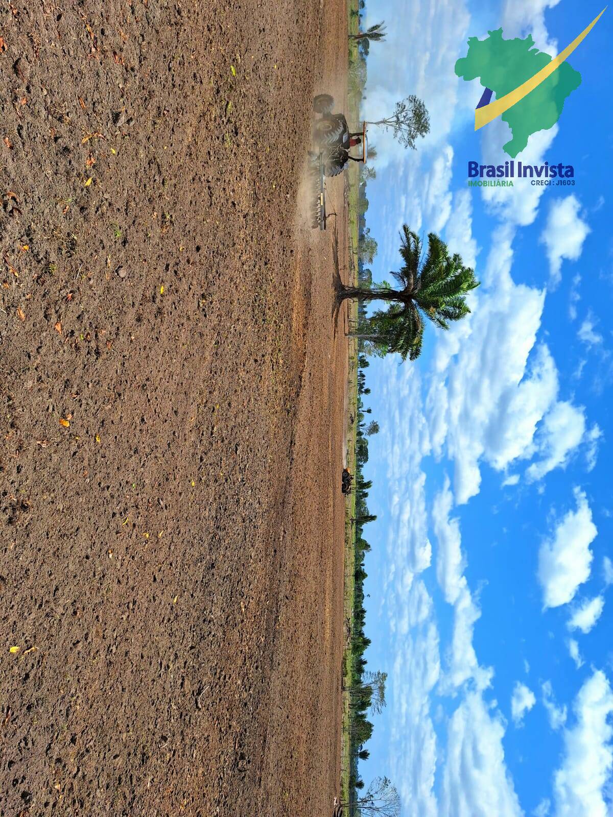 Terreno, 1268 hectares - Foto 46