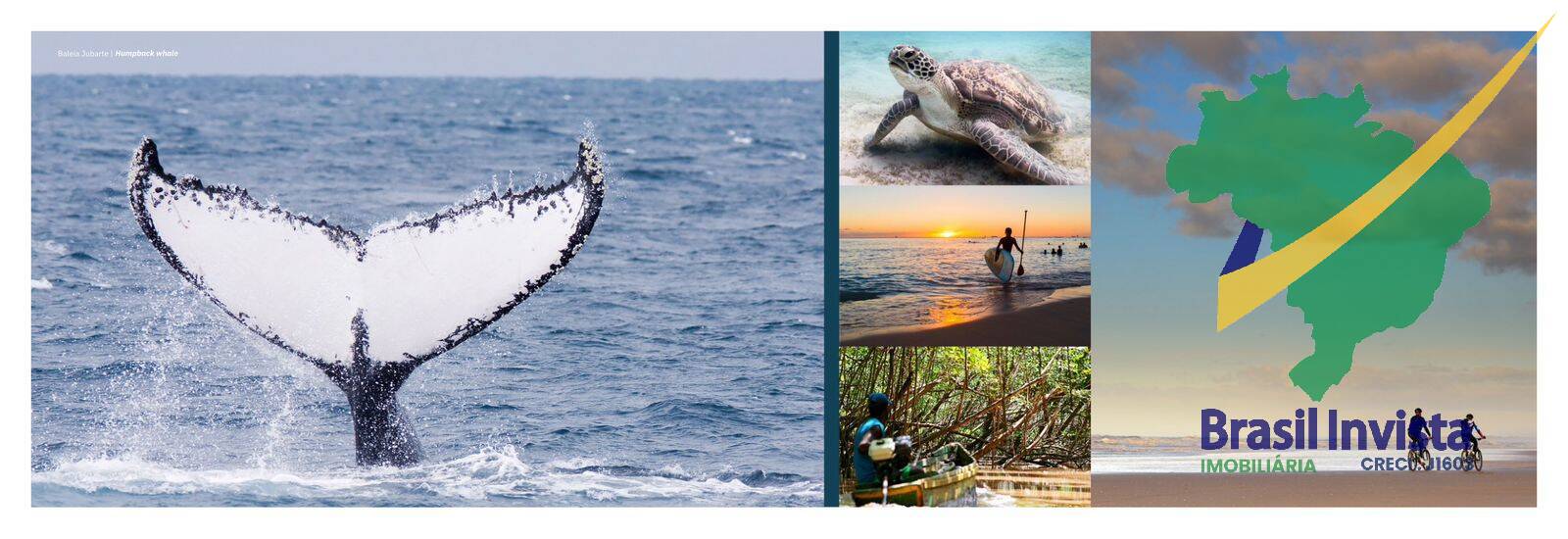 Terreno, 552 hectares - Foto 1