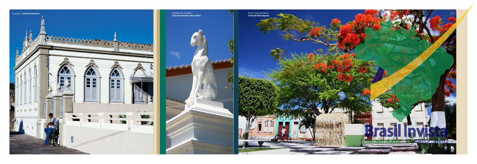 Terreno, 552 hectares - Foto 18