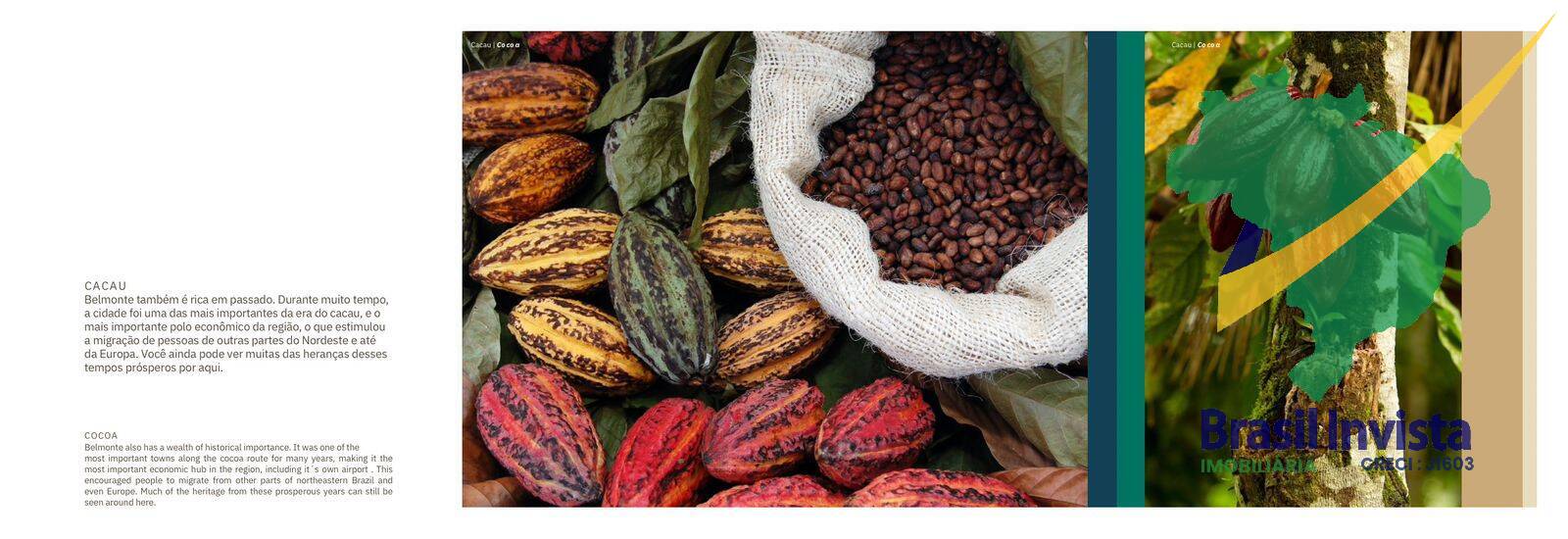 Terreno, 552 hectares - Foto 19