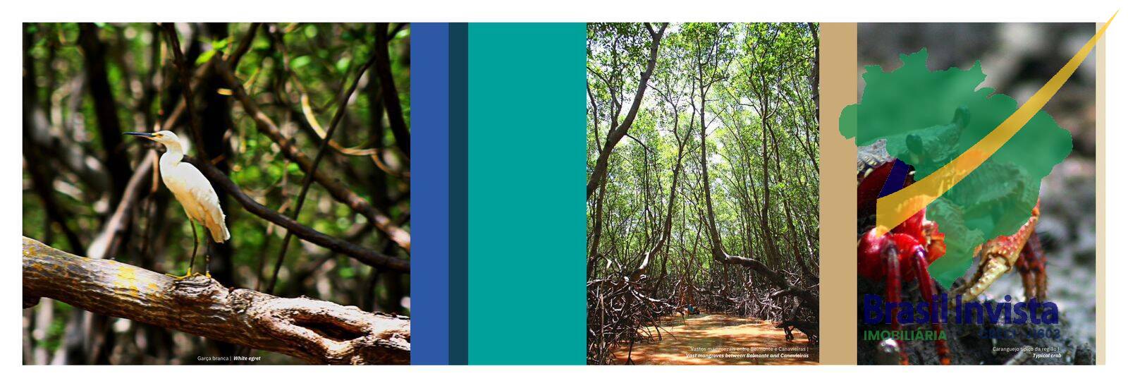 Terreno, 552 hectares - Foto 24