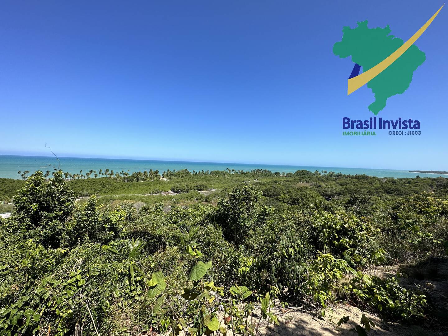 Casa, 6 quartos - Foto 4