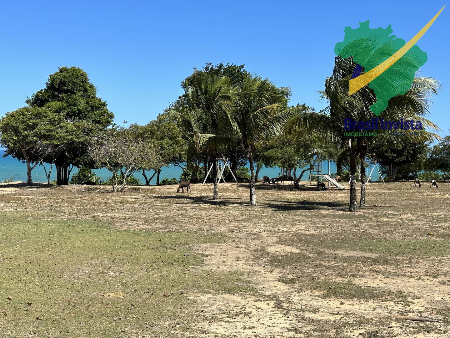 Casa, 6 quartos - Foto 11