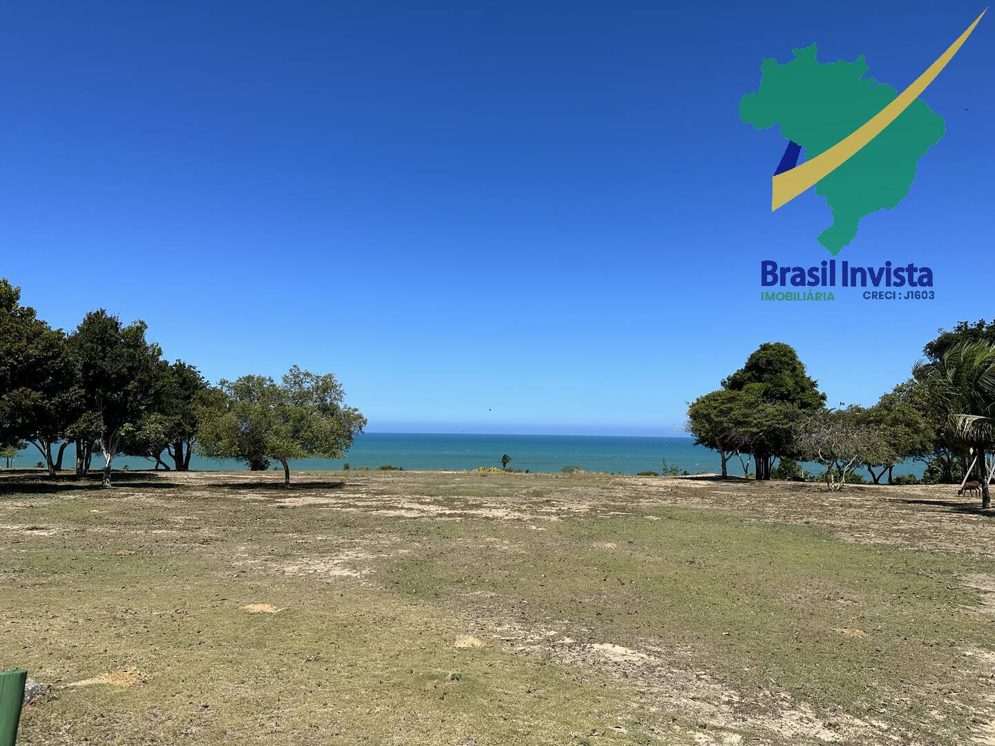 Casa, 6 quartos - Foto 16