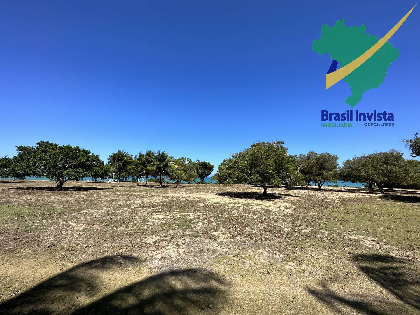 Casa, 6 quartos - Foto 17