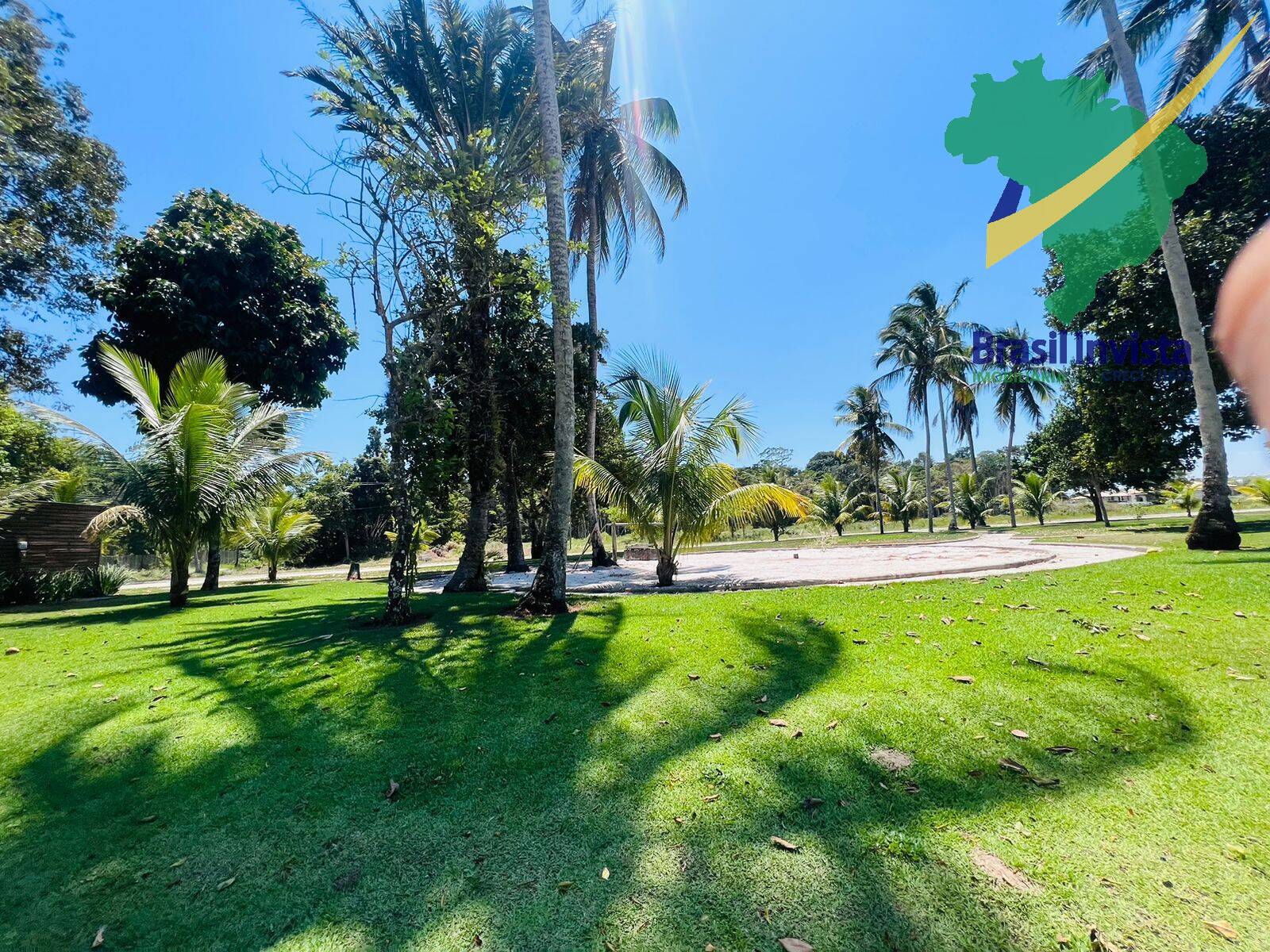 Terreno, 500 hectares - Foto 17