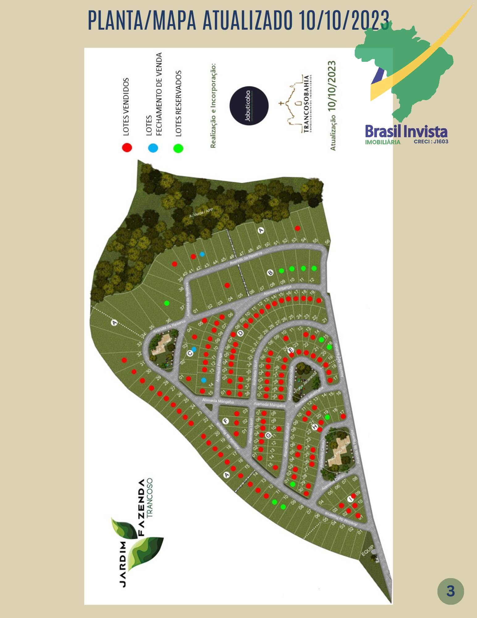 Terreno, 300 hectares - Foto 2