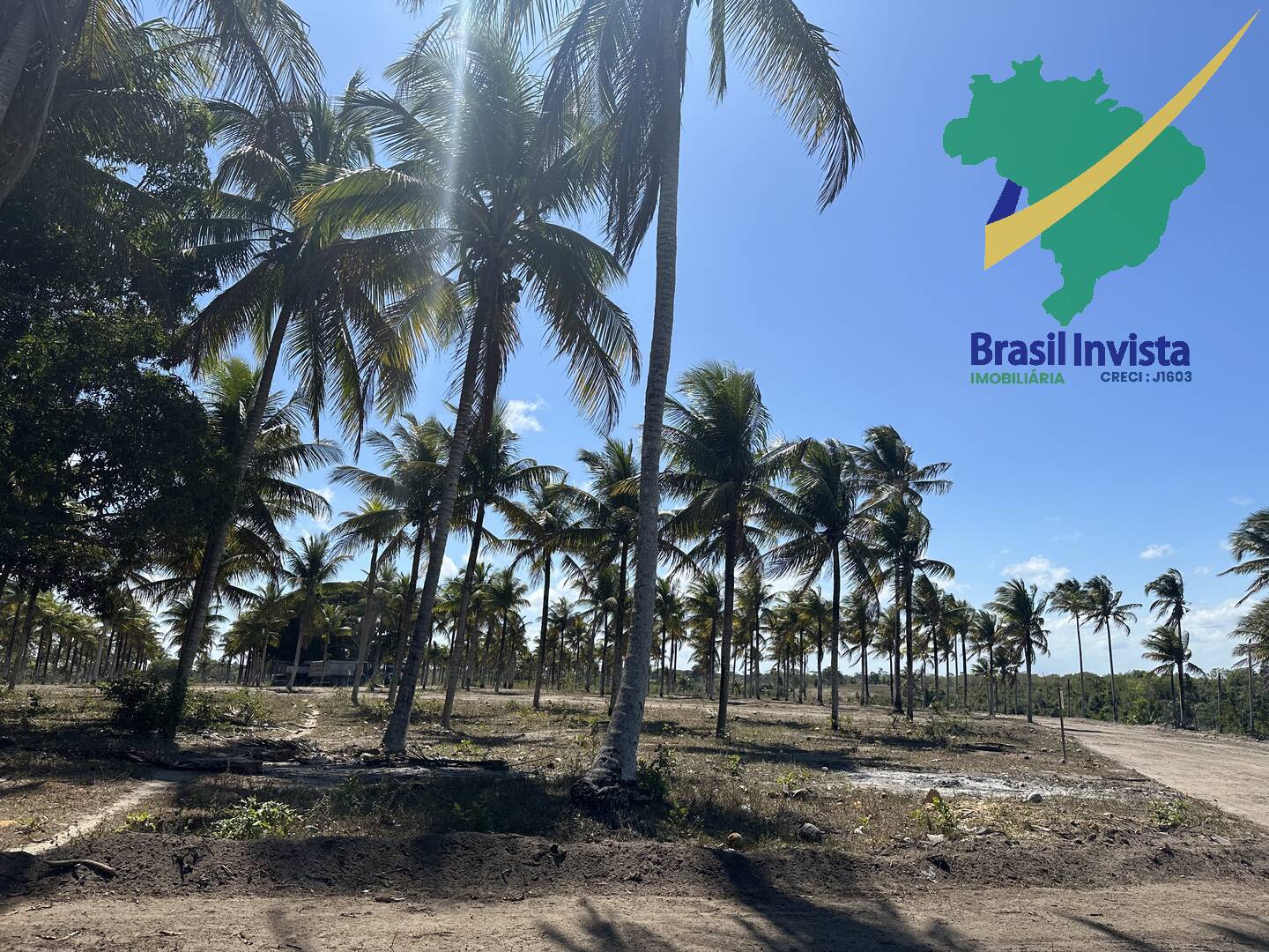 Terreno, 300 m² - Foto 9