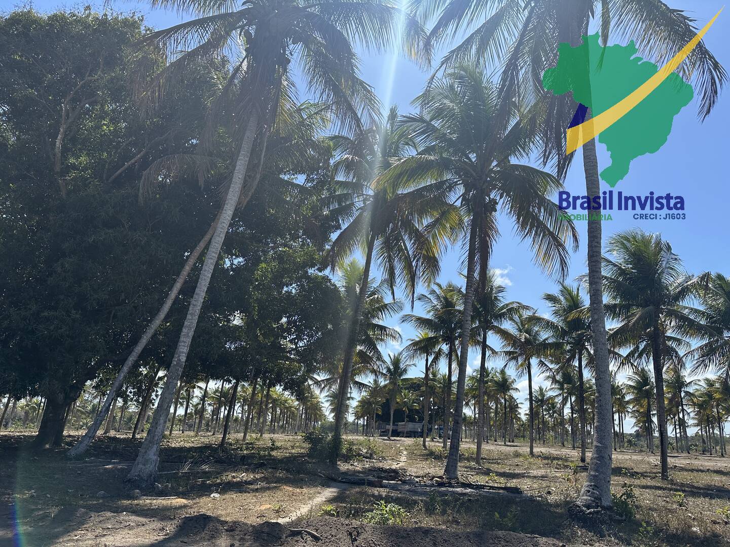 Terreno, 300 m² - Foto 15