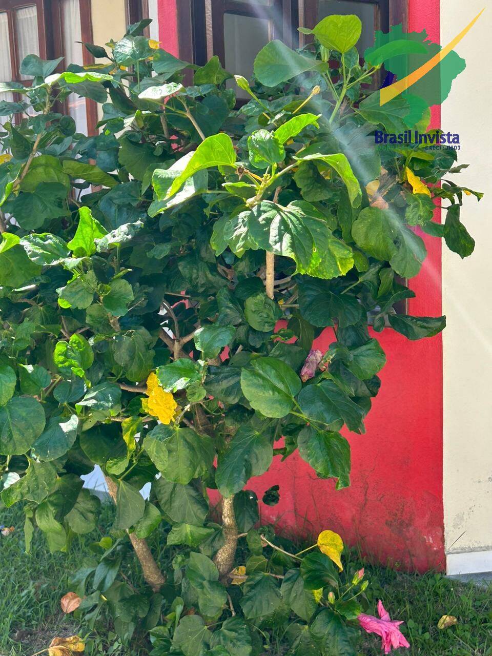 Casa, 2 quartos, 110 m² - Foto 20