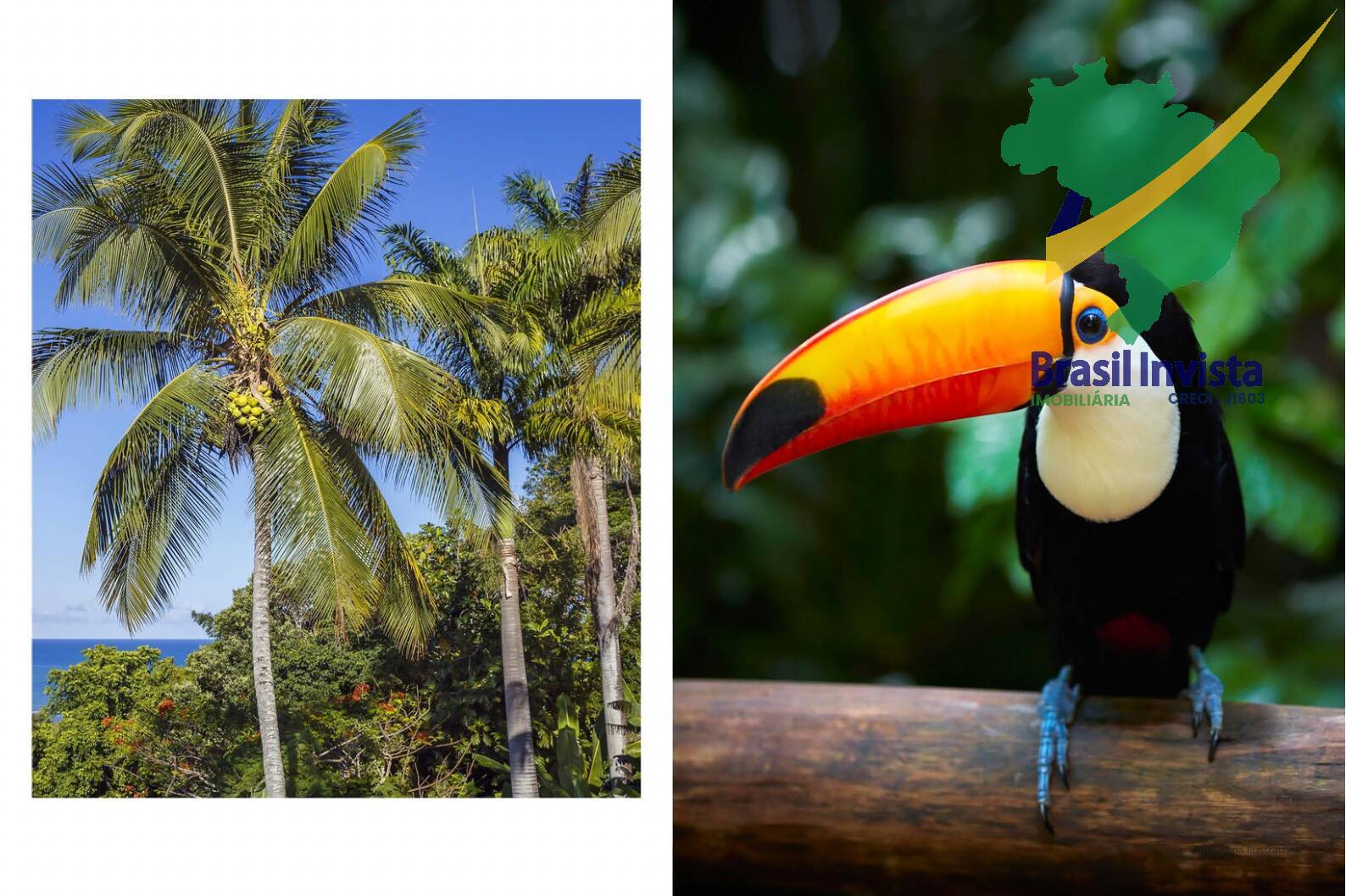 Casa, 3 quartos - Foto 27