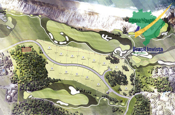 Terreno, 2501 hectares - Foto 4