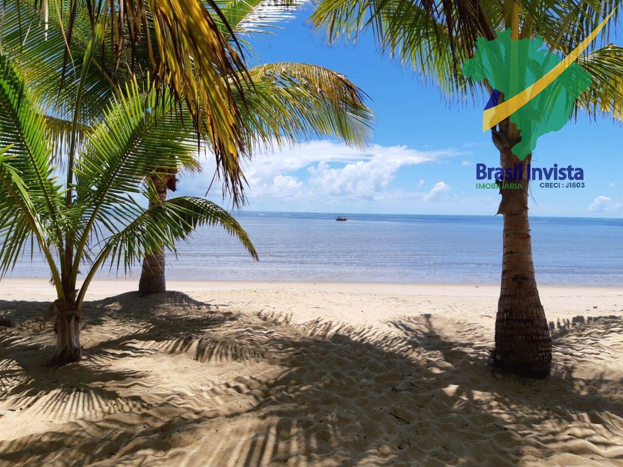 Casa, 5 quartos, 570 m² - Foto 29