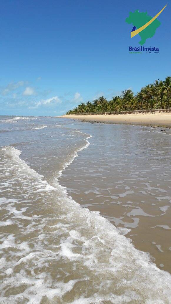 Terreno, 12 hectares - Foto 5