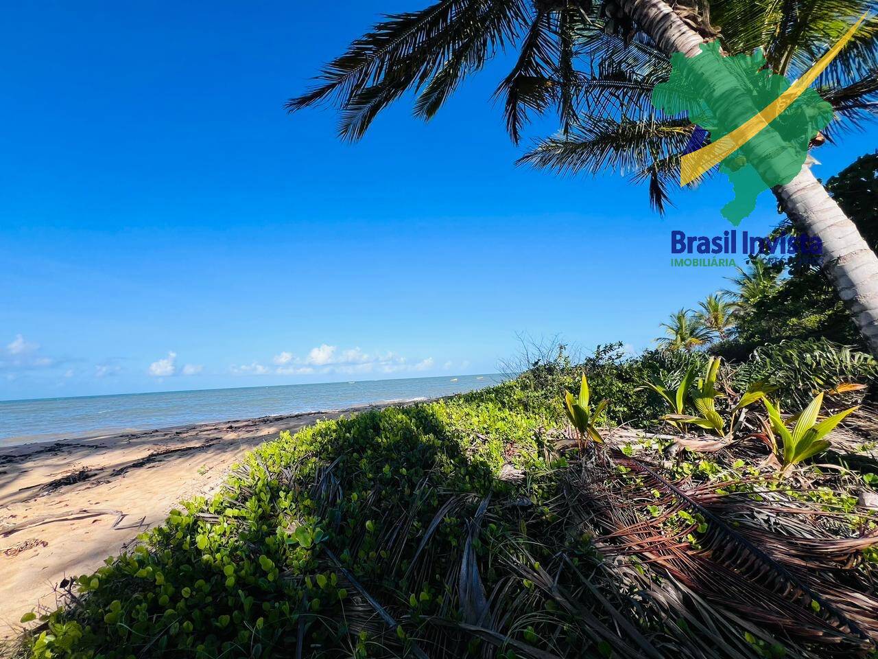 Terreno, 12 hectares - Foto 9