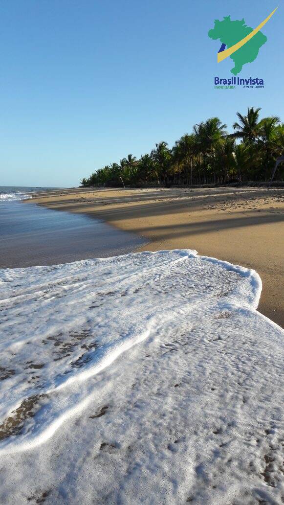 Terreno, 12 hectares - Foto 10