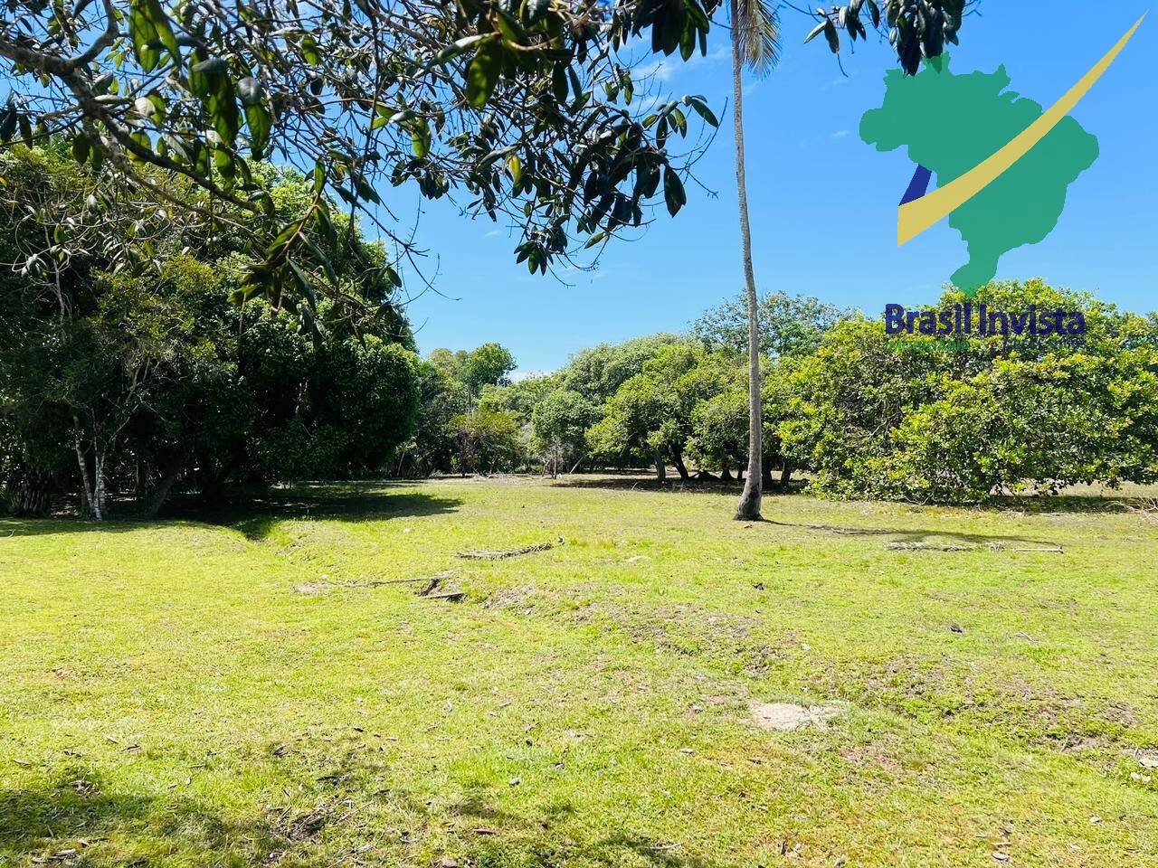 Terreno, 12 hectares - Foto 14