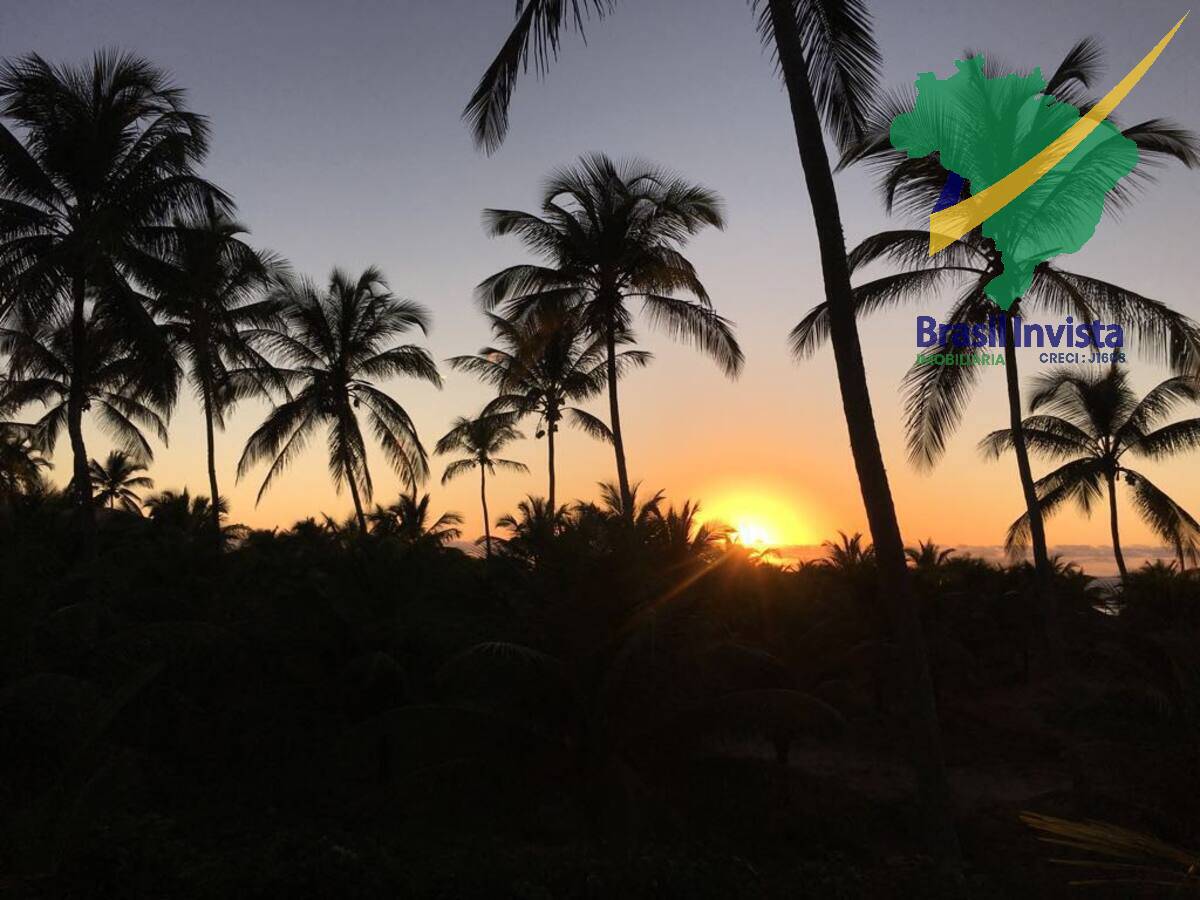 Terreno, 7 hectares - Foto 9