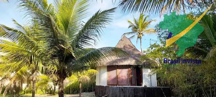 Terreno, 7 hectares - Foto 20