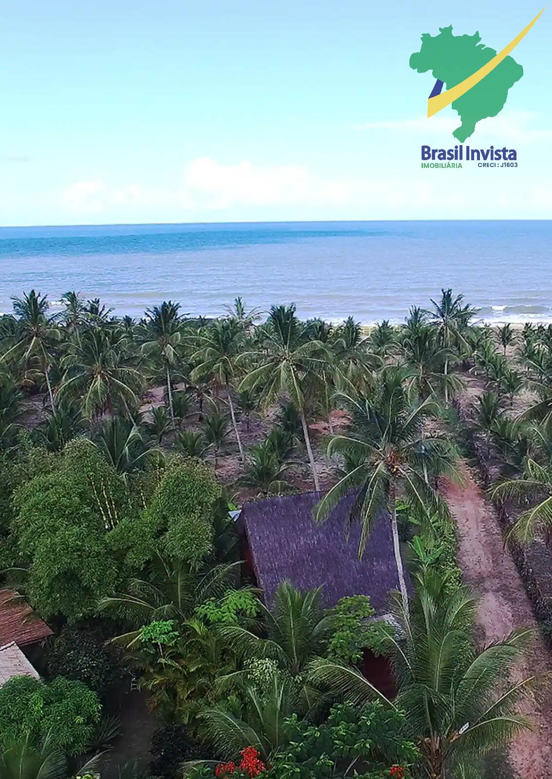 Terreno, 7 hectares - Foto 24