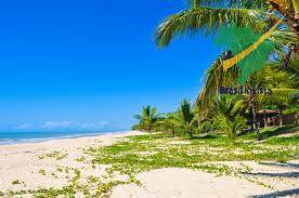 Sala-Conjunto - Foto 3