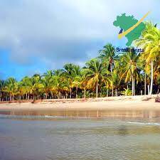 Sala-Conjunto - Foto 4