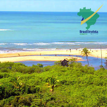 Sala-Conjunto - Foto 8