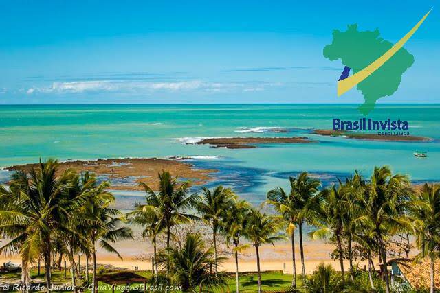 Sala-Conjunto - Foto 7