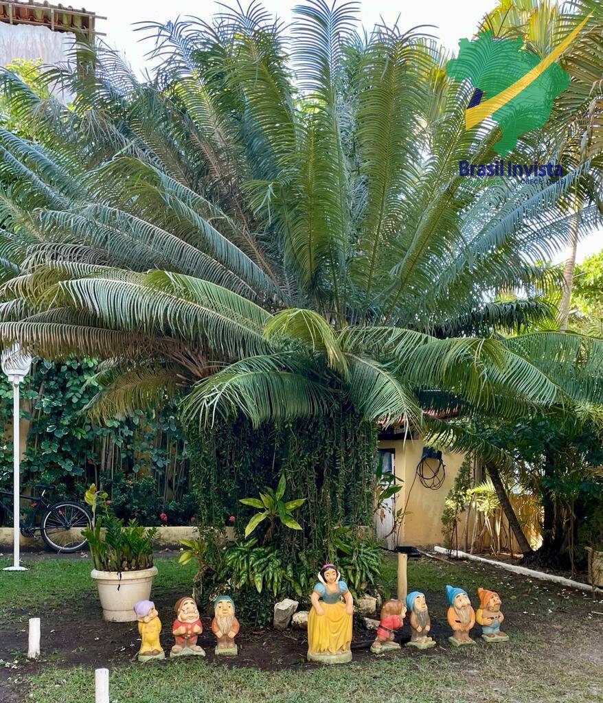 Sala-Conjunto - Foto 16