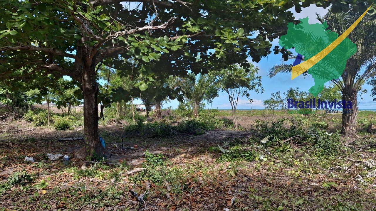 Terreno, 32 hectares - Foto 3