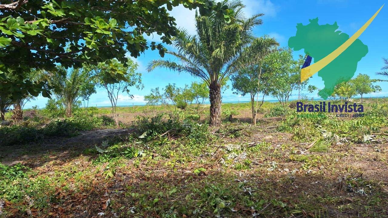 Terreno, 32 hectares - Foto 1