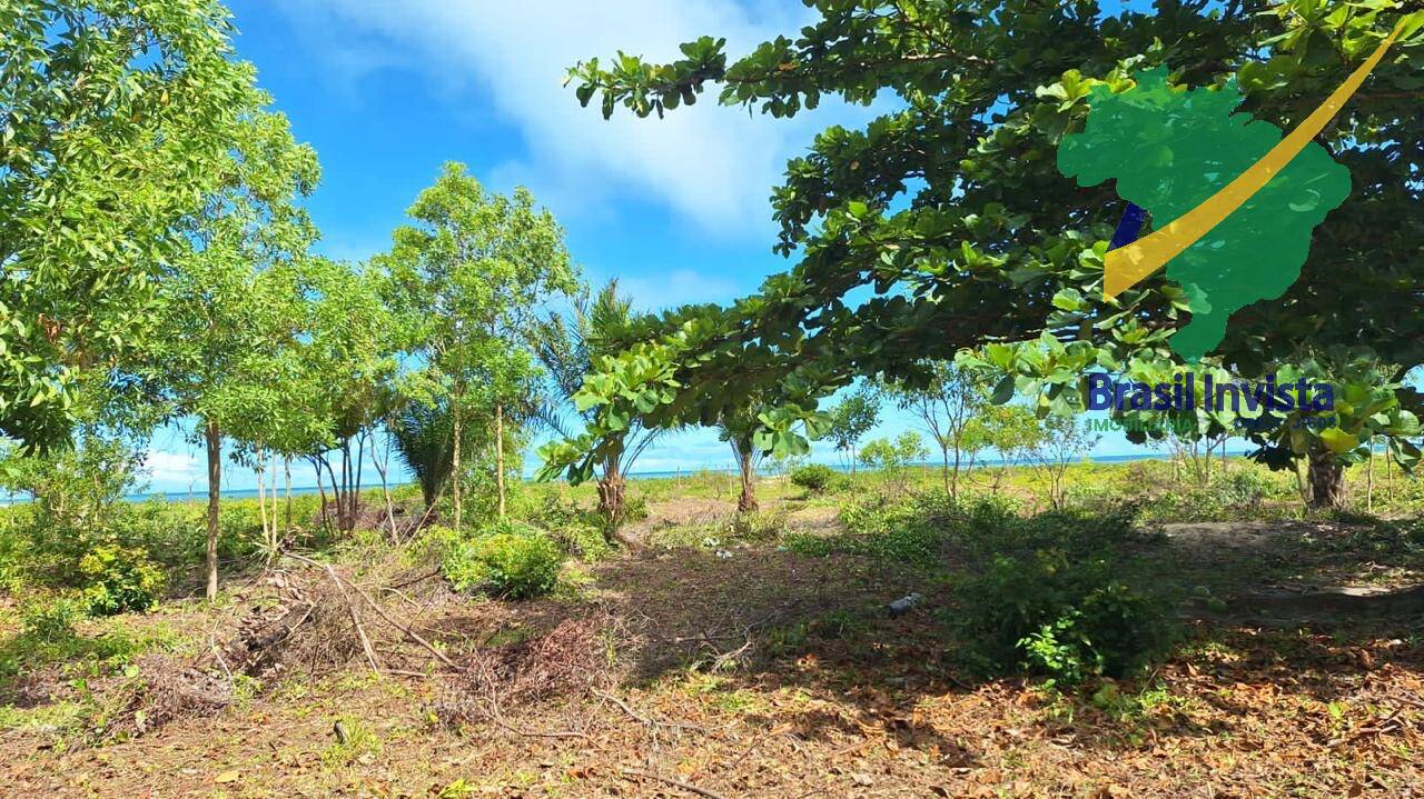 Terreno, 32 hectares - Foto 5