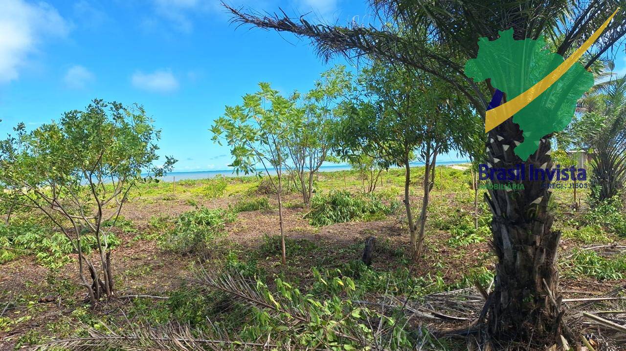 Terreno, 32 hectares - Foto 4