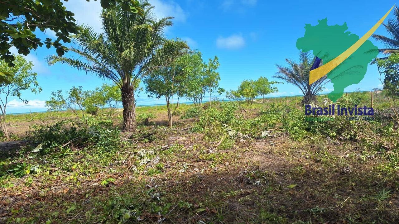 Terreno, 32 hectares - Foto 8