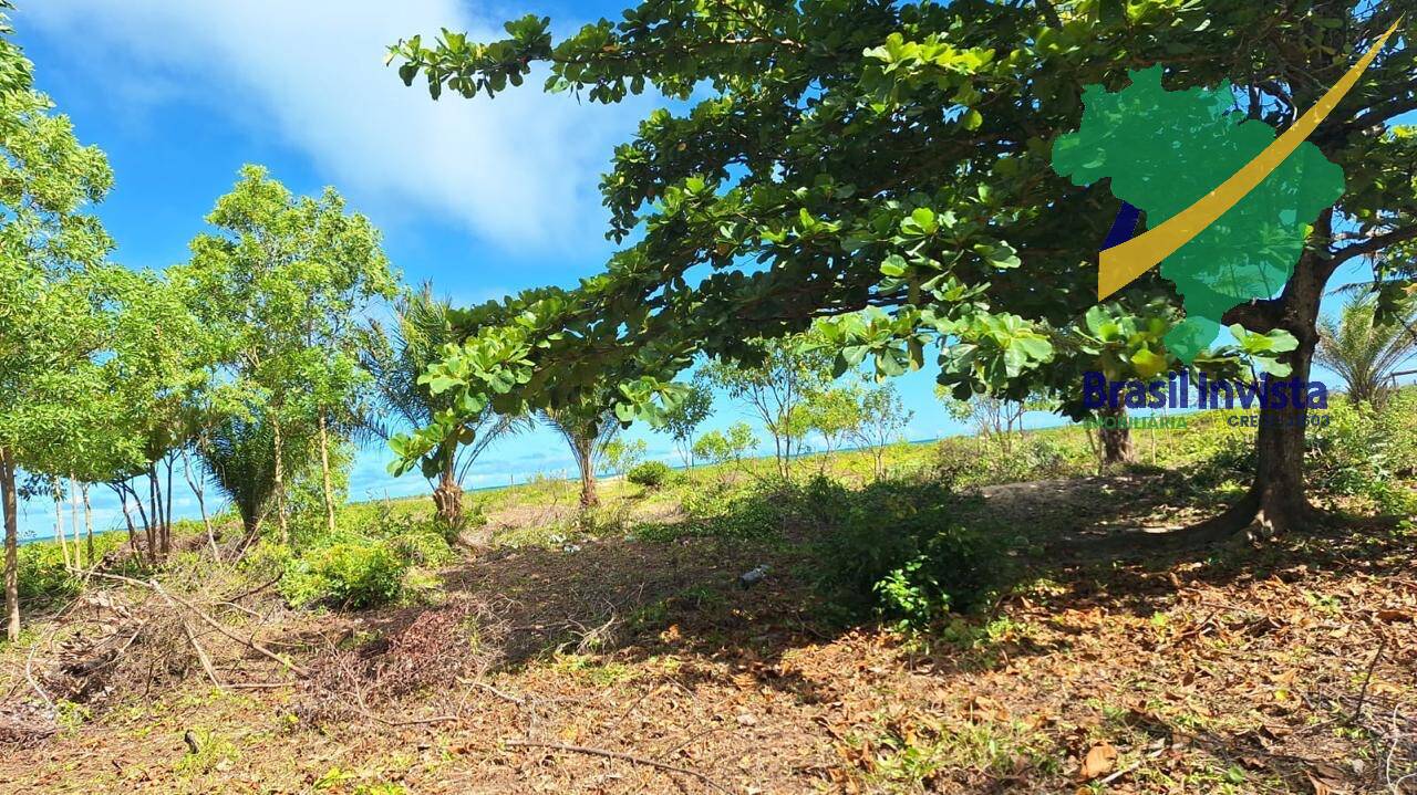 Terreno, 32 hectares - Foto 7