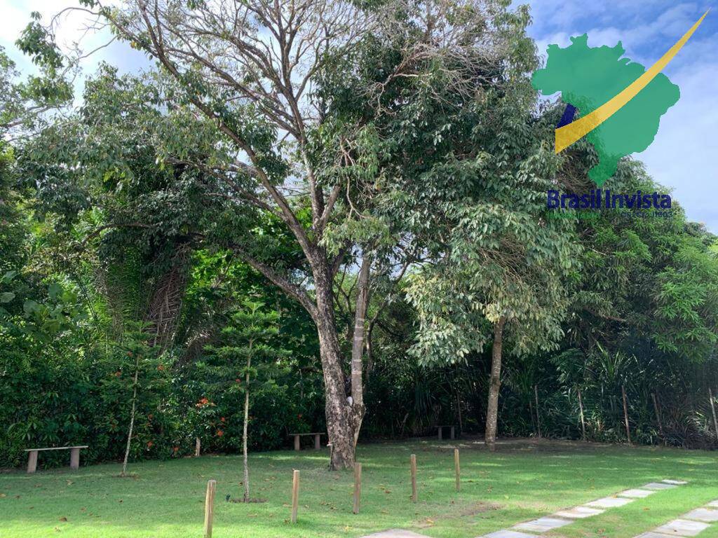 Apartamento, 3 quartos - Foto 12