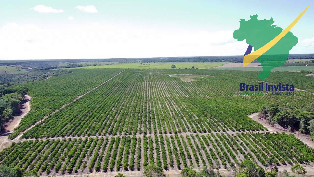 Fazenda, 3 quartos - Foto 3