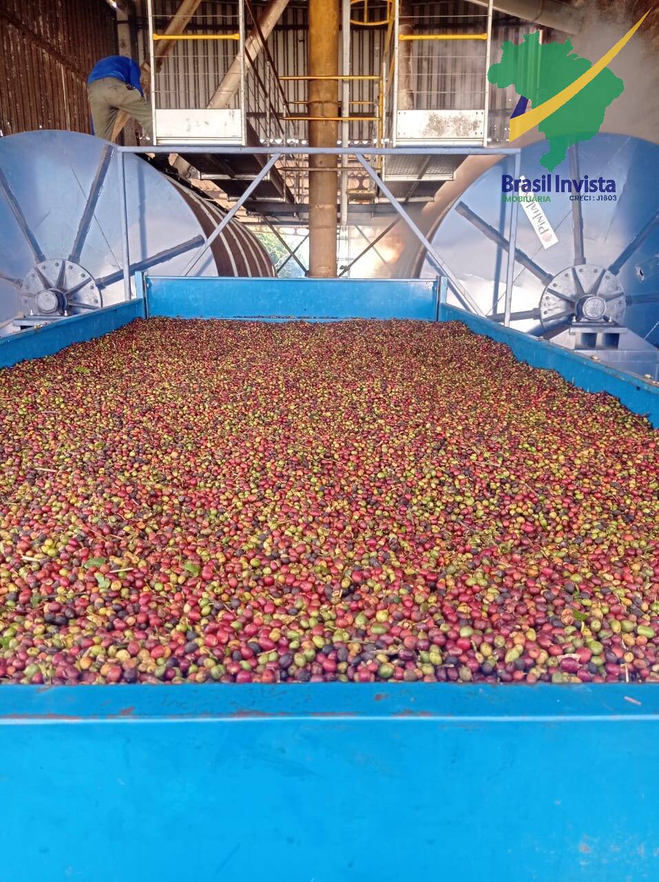 Fazenda, 3 quartos - Foto 5