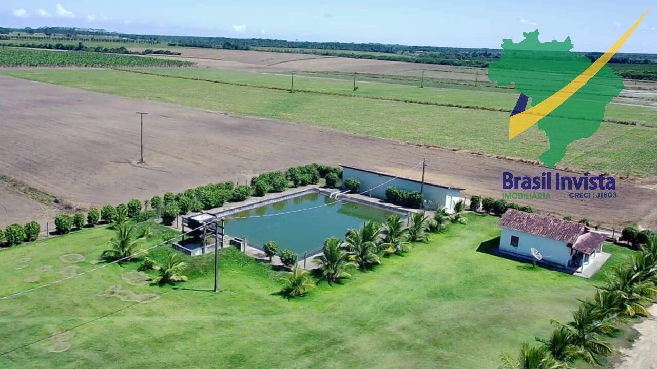 Fazenda, 3 quartos - Foto 11