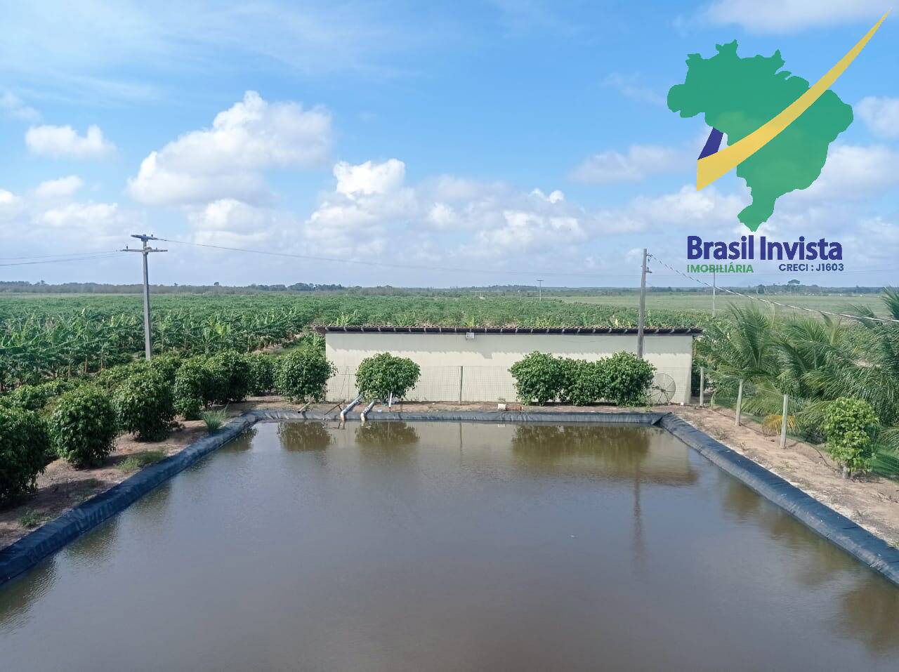 Fazenda, 3 quartos - Foto 15