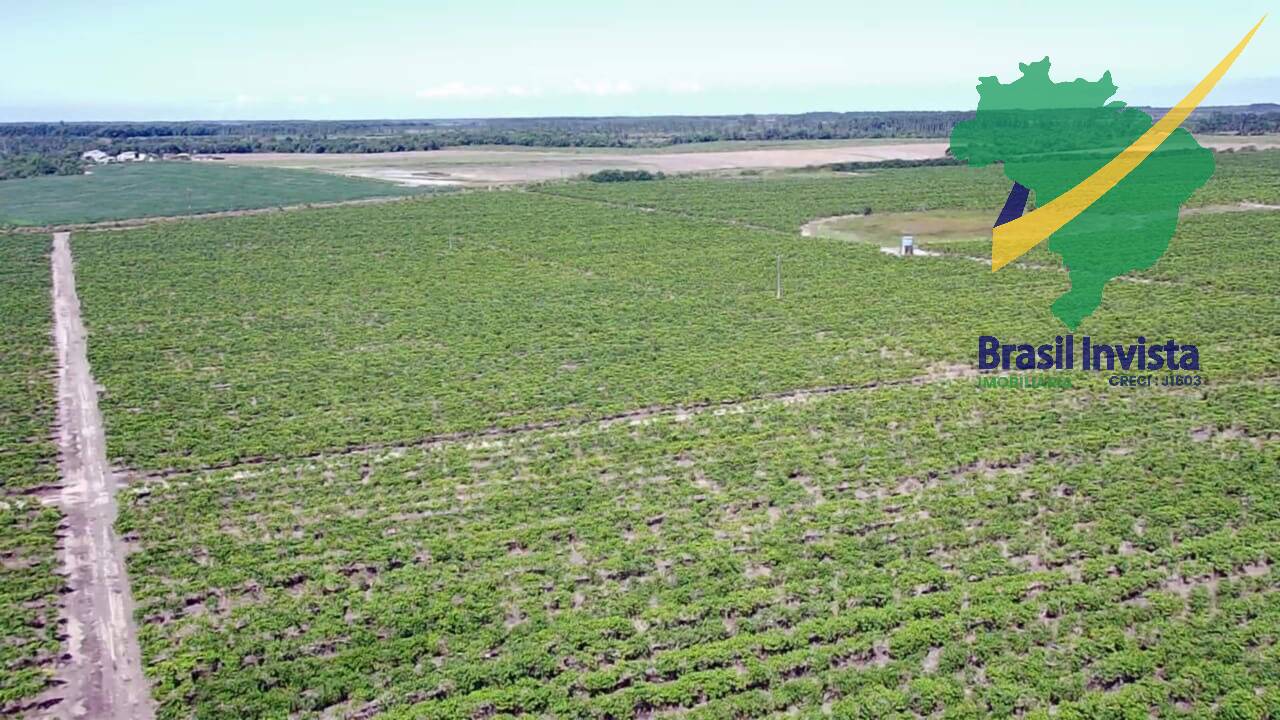 Fazenda, 3 quartos - Foto 14