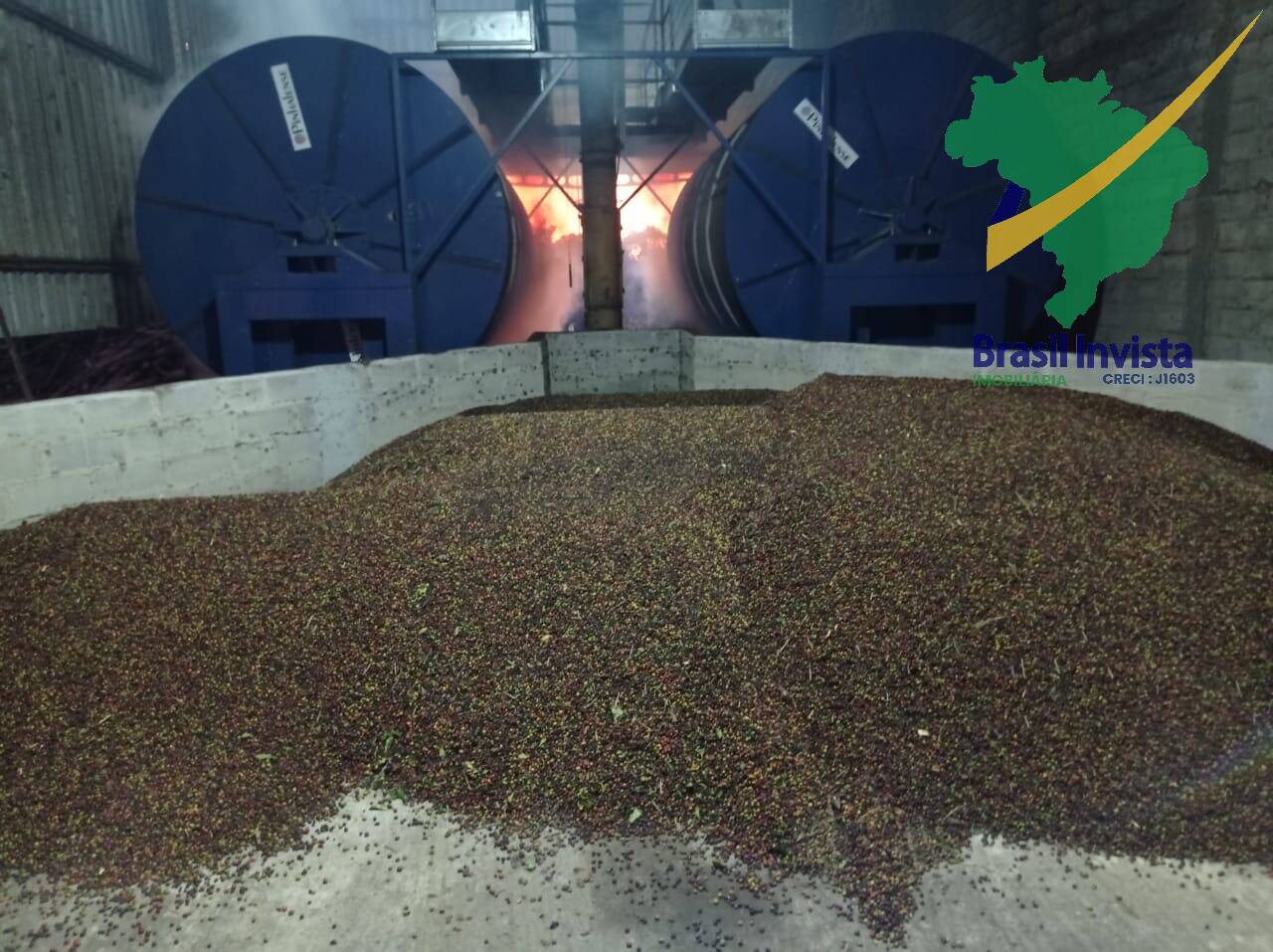 Fazenda, 3 quartos - Foto 18