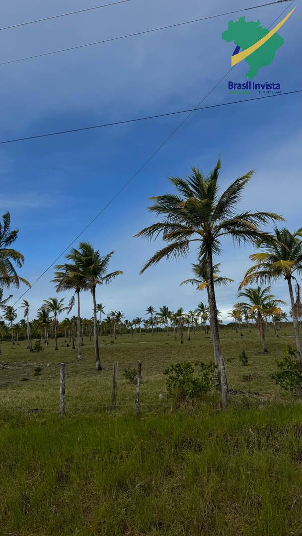 Terreno à venda - Foto 4