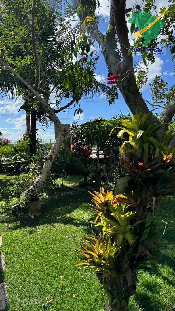 Sítio à venda com 4 quartos, 6200m² - Foto 8
